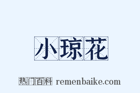小琼花是什么意思的图片